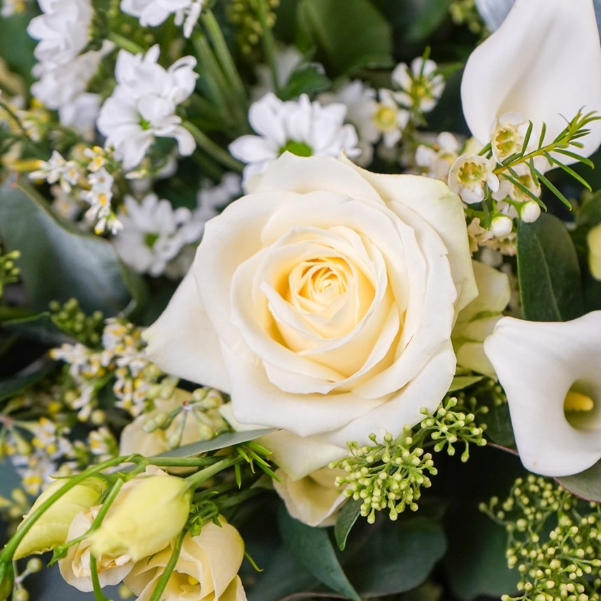 Snow White Hand-Tied