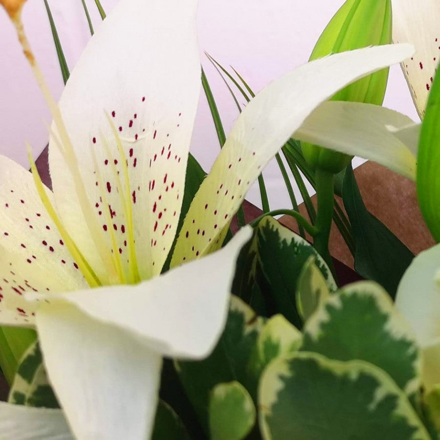 White Harmony Hand-Tied
