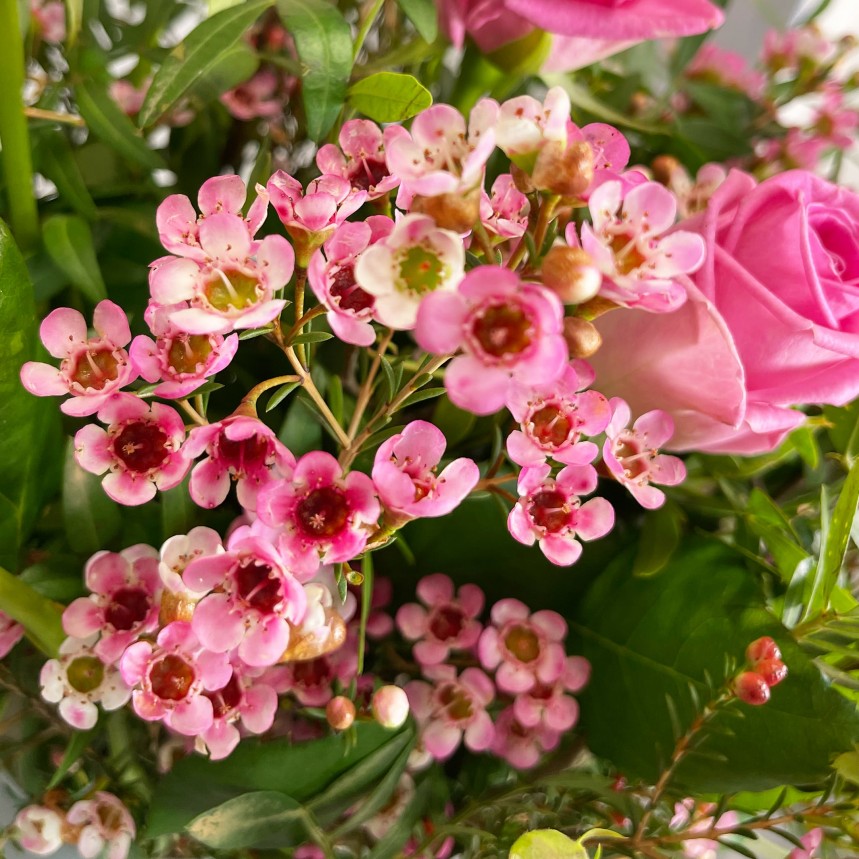 The Flower Of Love - Pink