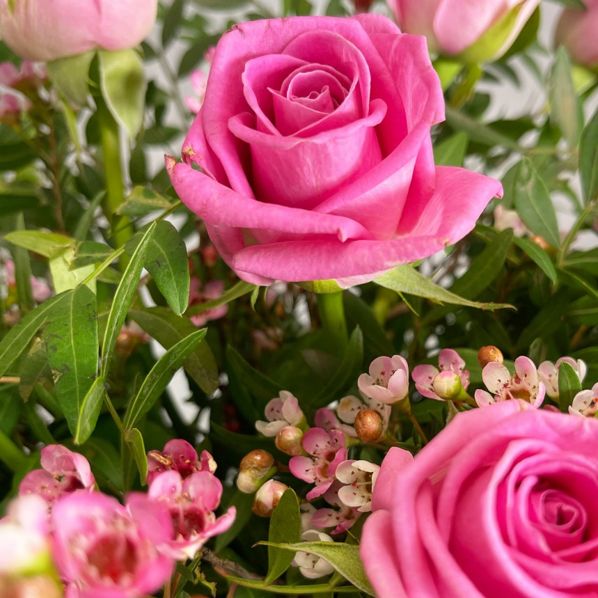 The Flower Of Love - Pink
