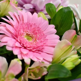 Strawberries & Cream Hand-Tied