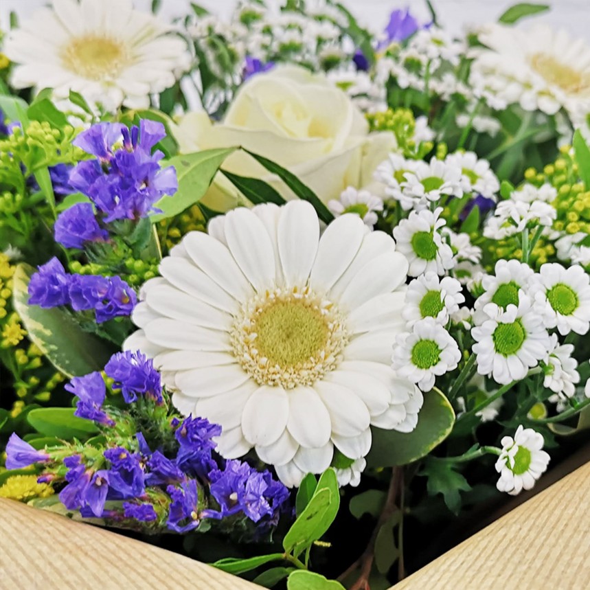 Vanilla Skies Hand-Tied