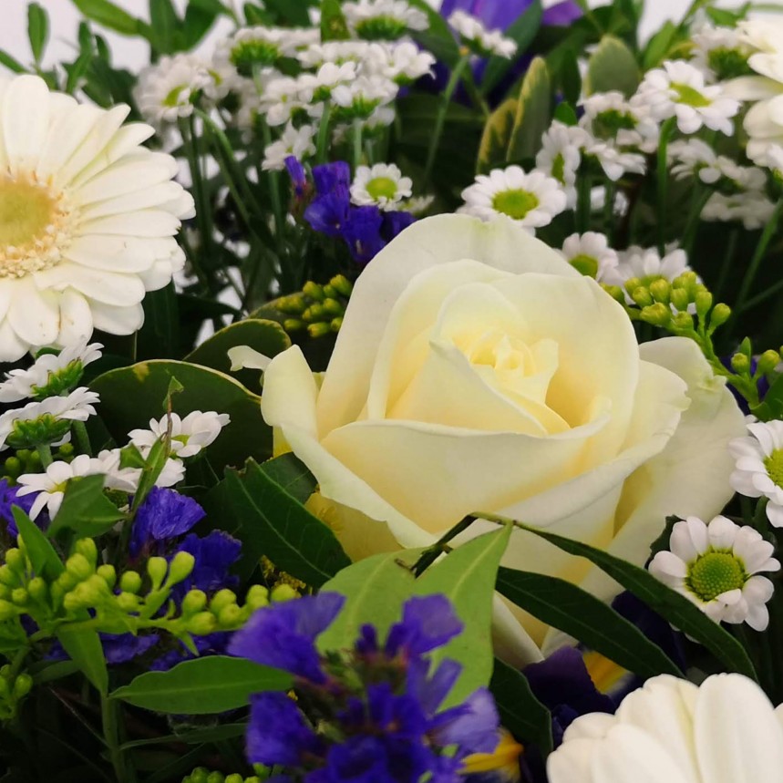 Vanilla Skies Hand-Tied