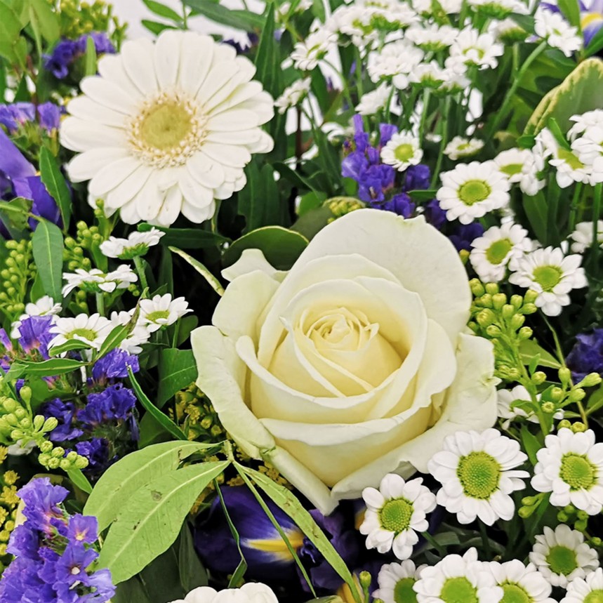 Vanilla Skies Hand-Tied