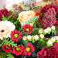 Seasons Greetings Hand-Tied