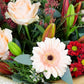 Seasons Greetings Hand-Tied